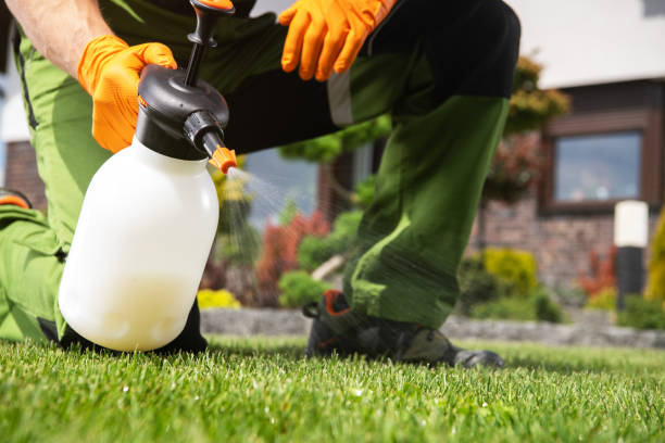 Best Bed Bug Extermination  in Palmetto, GA