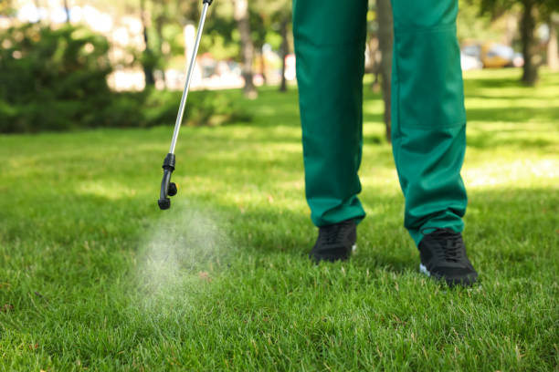 Professional Pest Control in Palmetto, GA
