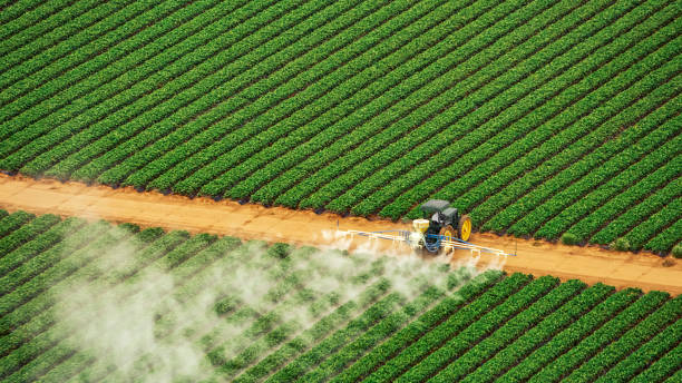 Best Commercial Pest Control Services  in Palmetto, GA