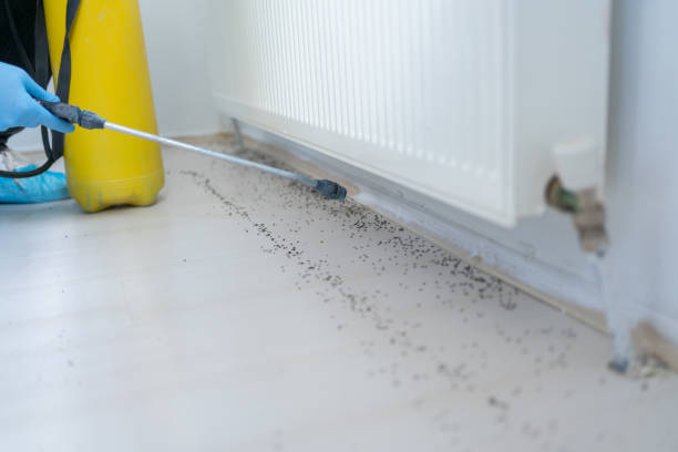 Best Cockroach Control Services  in Palmetto, GA