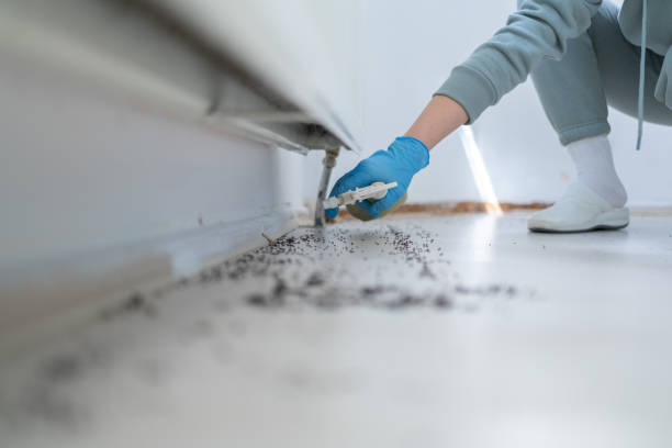 Best Exterminator Services  in Palmetto, GA